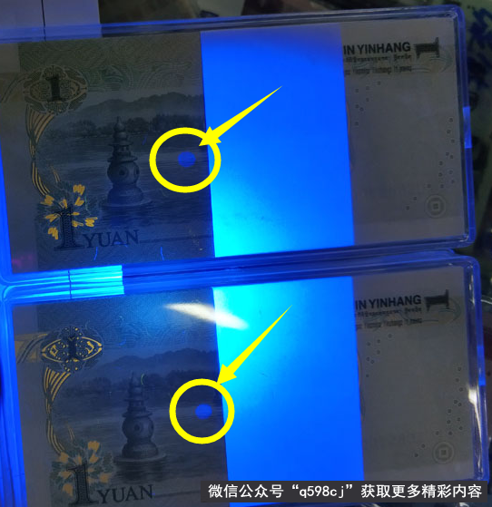 1999年1元荧光月亮币收藏介绍 991大叶兰的如何分辨？