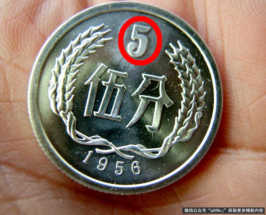 56年5分硬币值多少钱 56年5分硬币价值分析
